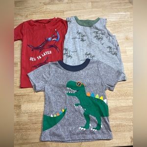 Boys Tee-Shirts size 2T
